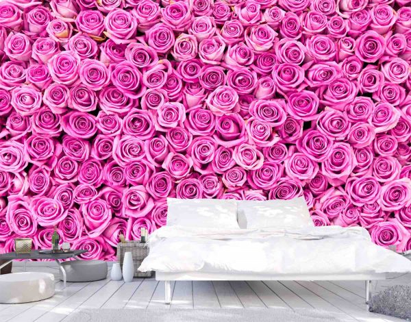 Wallpaper Mural Pink Roses | Muralunique