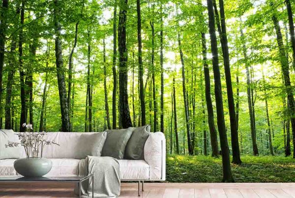 Wallpaper Mural Sunny Forest | Muralunique