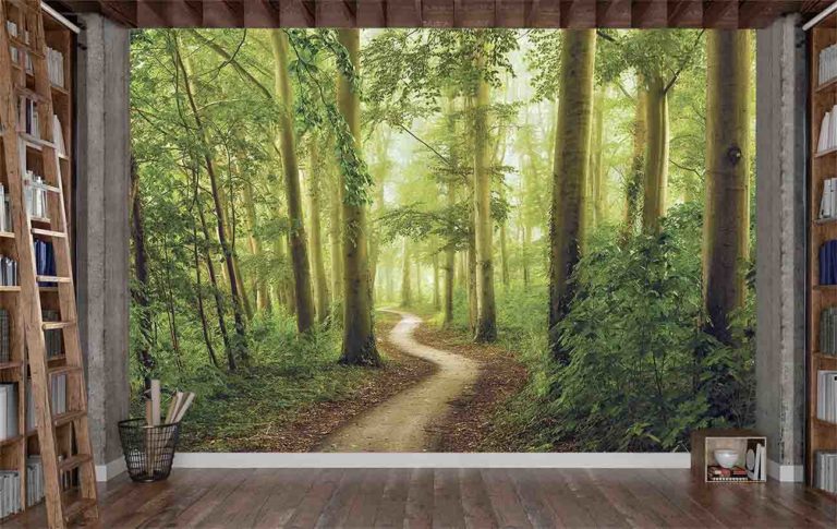 Wallpaper Mural Peaceful Path | Muralunique