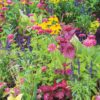 Flower Garden, Parc de la Nature, Laval, Quebec