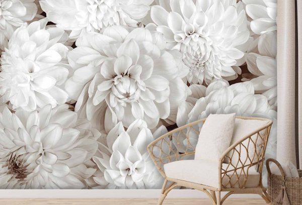 Wallpaper Mural Dahlia Flowers in Sepia | Muralunique