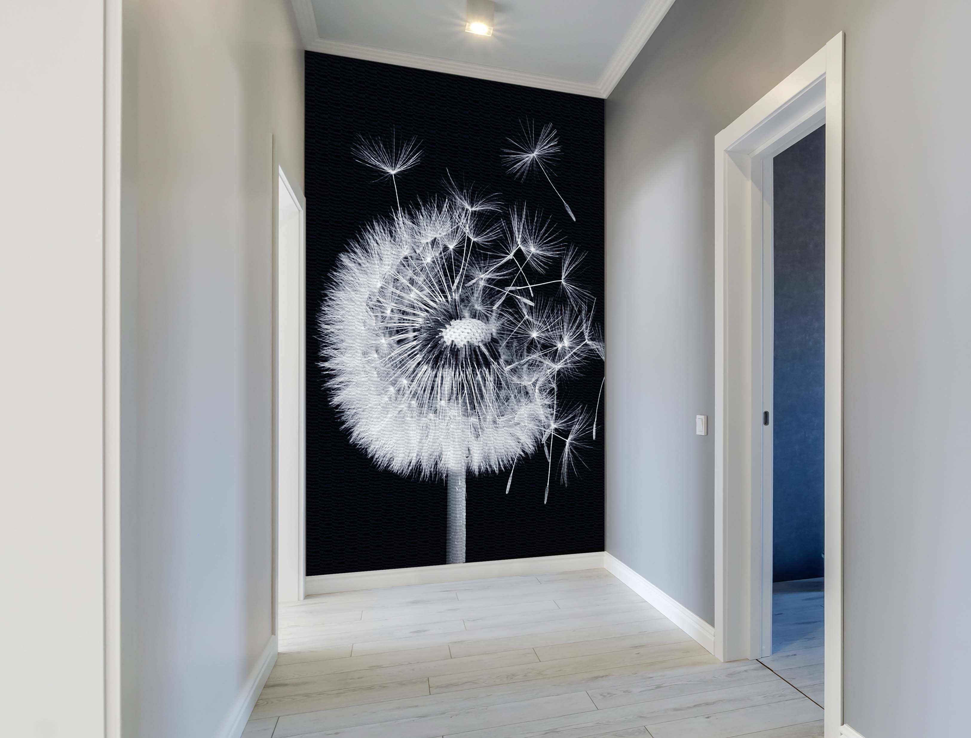 Black and white dandelion Wallpaper - Peel and Stick or Non-Pasted
